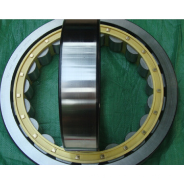 Cylindrical Roller Bearing Nu244 M Brass Cage Nu246 Nu212 Bearing